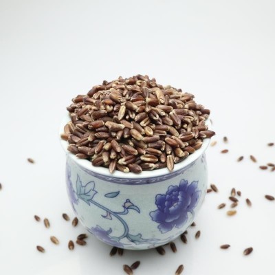 现货供应黑小麦 新黑小麦 五谷杂粮黑麦粗粮 可发芽黑小麦 25kg图4