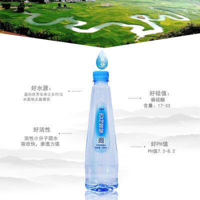 巴马天然泉水生产厂 厂家直销工厂店直营正宗巴马水图4