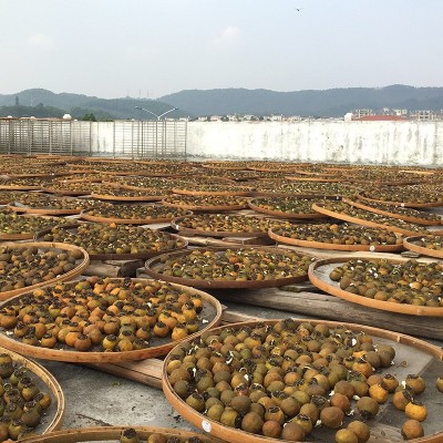 新会小青柑批发六年普洱熟茶广东特产食品陈皮柑普茶约45-60粒图4