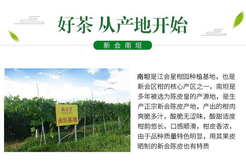 详情页改版8_15.jpg