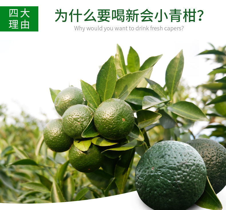 详情页改版8_16.jpg