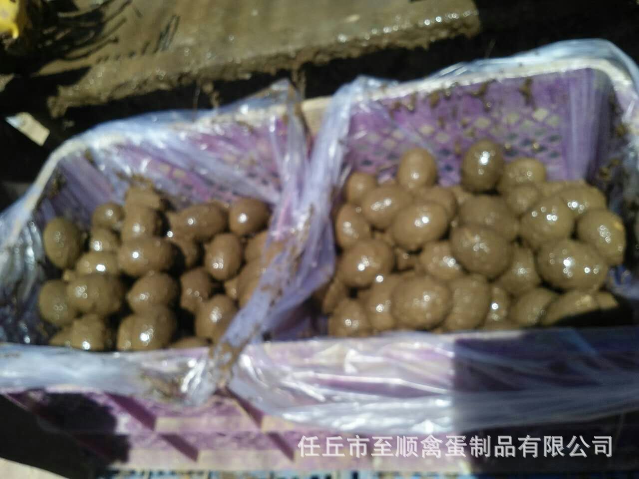微信图片_20180322105601