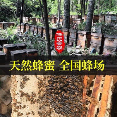 6瓶装500g蜂蜜纯正天然农家百花蜜正宗蜂蜜大自然无添加图3
