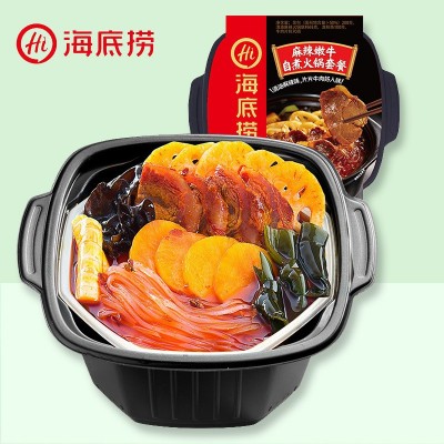 海底捞自热小火锅麻辣嫩牛牛肚番茄牛腩素食懒人速食自煮火锅批发图4