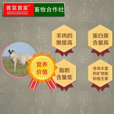 首菜首家 苏尼特羊排肋排烧烤食材冷冻食品1斤/件羔羊排羊肉批发图4