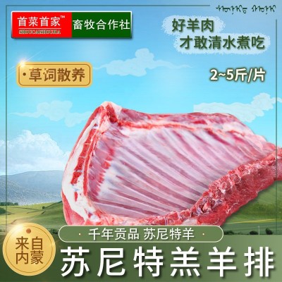 首菜首家 苏尼特羊排肋排烧烤食材冷冻食品1斤/件羔羊排羊肉批发