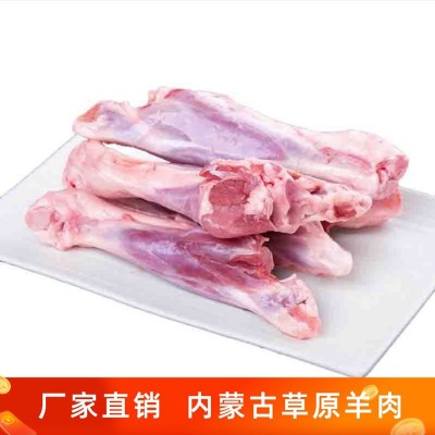 羊前小腿内蒙古锡盟草原羊肉新鲜食材前小腿前腱厂家批发