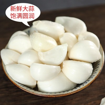 【鲜干蒜】鲜蒜大蒜头紫皮新大蒜干中大果源头直发支持一件代发图2