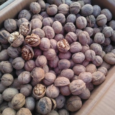 2022新核桃新疆185纸皮核桃手剥核桃坚果无漂白原味薄皮核桃散称图2
