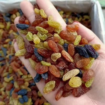 葡萄干新疆大个黑加仑 红提 绿籽无籽简装免洗三色四色葡萄干批发图2