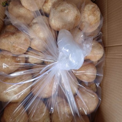 鑫榕钰 猴头菇批发干货 古田猴头菇大朵剪脚无根猴头菇8到12公分图4