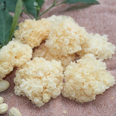 椴木小银耳原产地椴木银耳雪耳糯耳小朵菇农山泉水灌溉自产自销图3