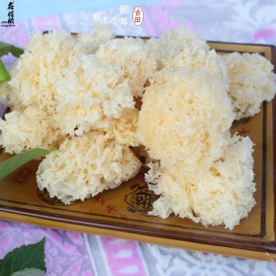椴木小银耳原产地椴木银耳雪耳糯耳小朵菇农山泉水灌溉自产自销