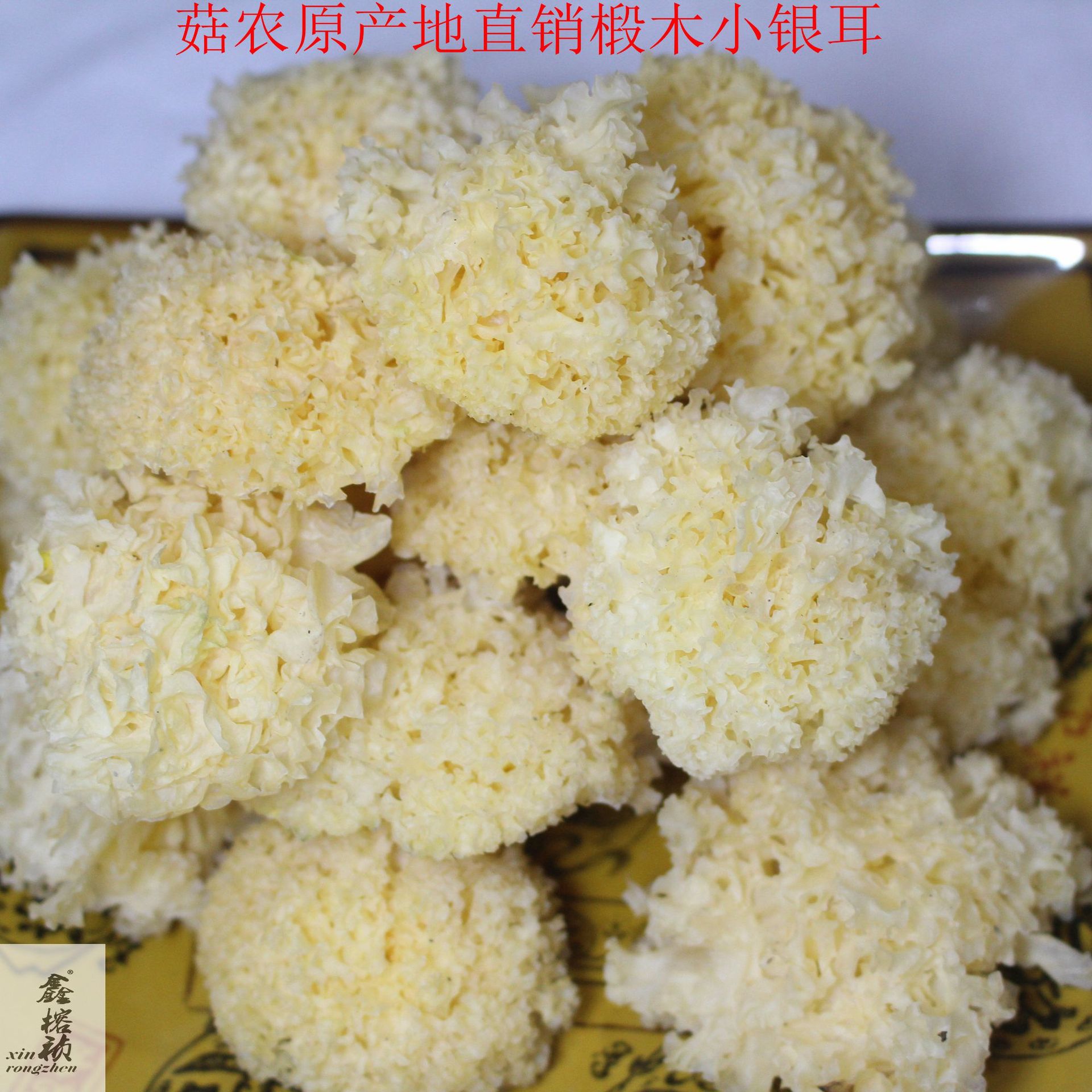 白色椴木小银耳详情宝贝