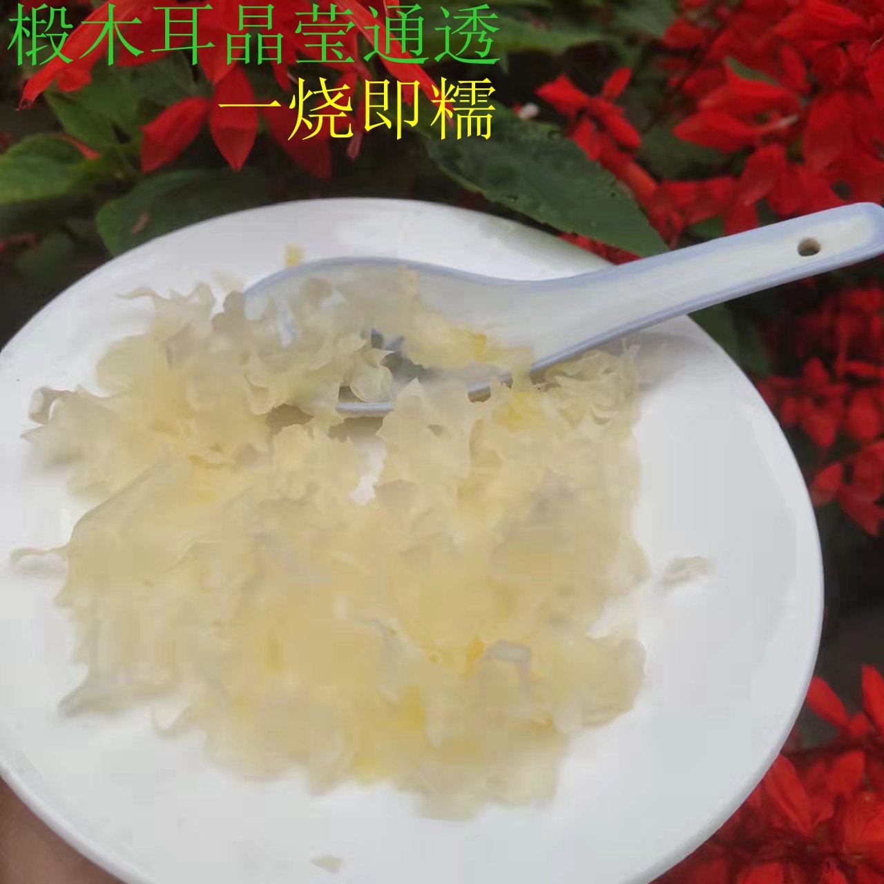 银耳报告