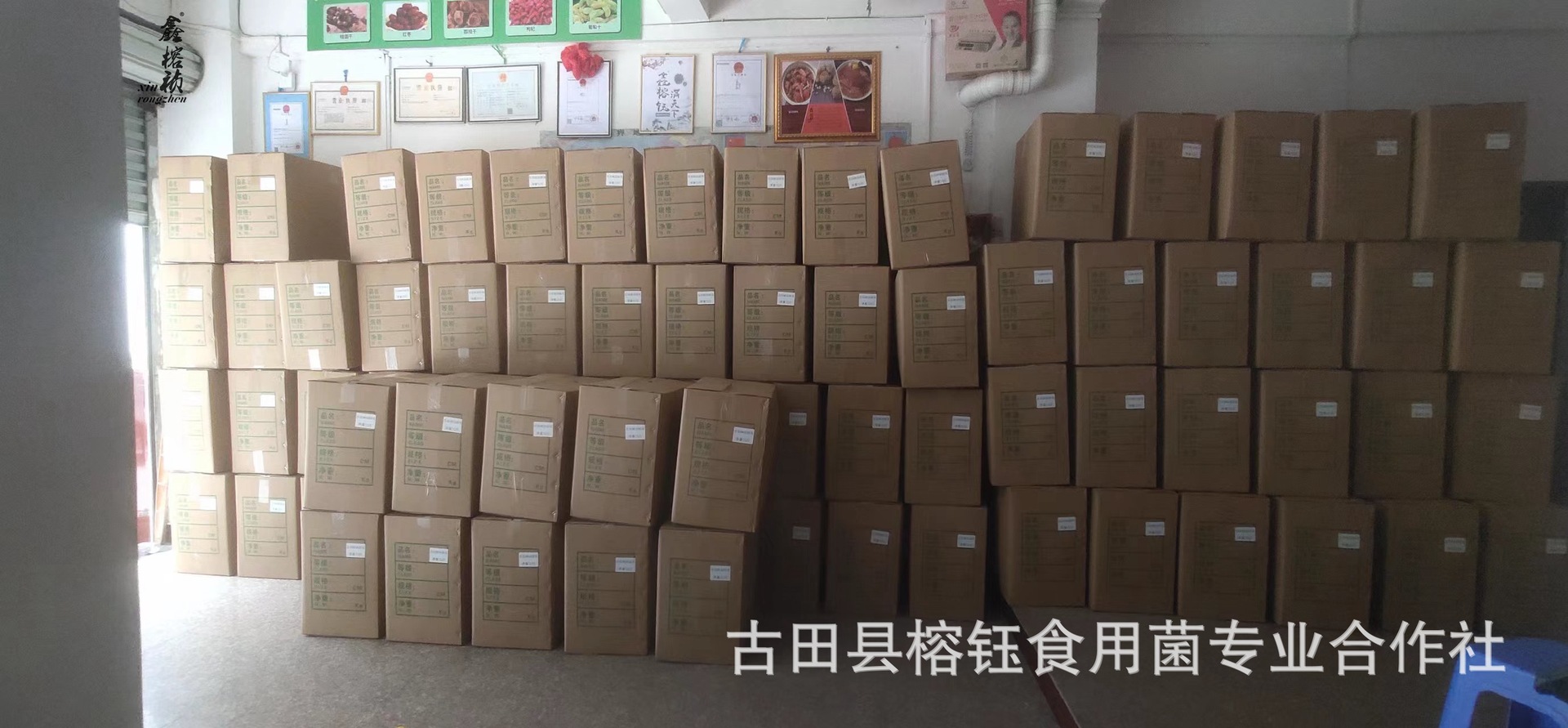 2020年春季椴木小银耳详情宝贝主图