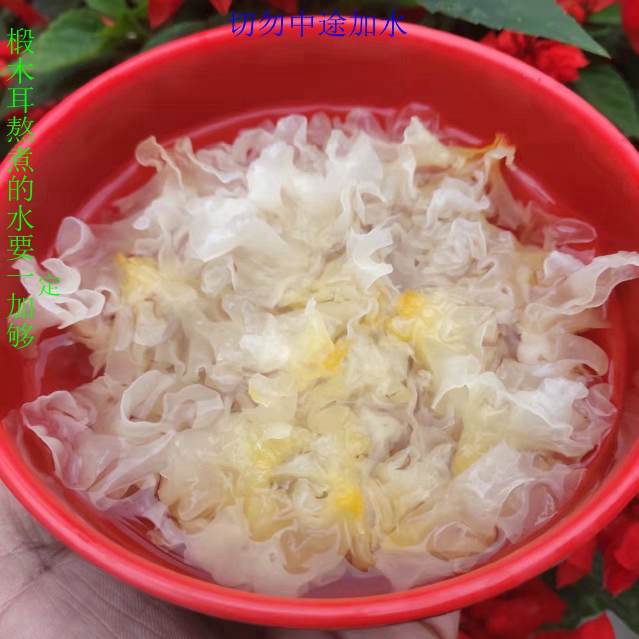 白色椴木小银耳详情宝贝