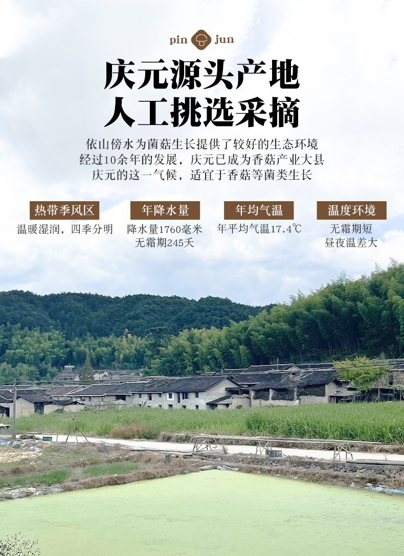 冬菇详情页3