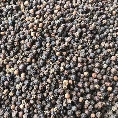黑胡椒粒越南胡椒粒500g胡椒碎代发黑椒粉牛排调料 黑胡椒粒图5