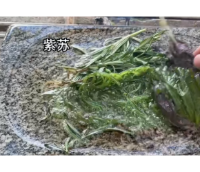 河边捞到一把海草，放到石板上烧烤，味道棒极了