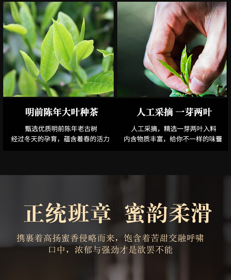 老班章sg_06.jpg