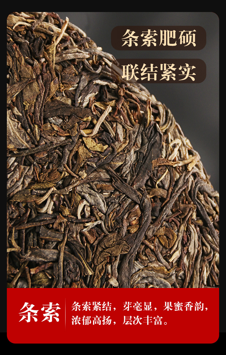 老班章sg_10.jpg