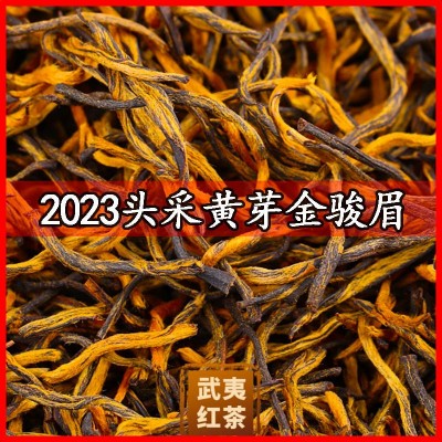 特级黄芽金骏眉正宗金骏眉红茶蜜香型养胃新茶散装批发250g500g图3
