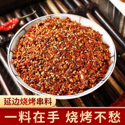 延边烧烤料 香辣味烤肉蘸料 朝鲜族风味串料 烧烤调料 500图3