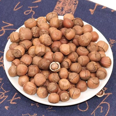 东北特产榛子三口锅铁岭开原榛子500g/袋零食坚果炒货开口榛子图4
