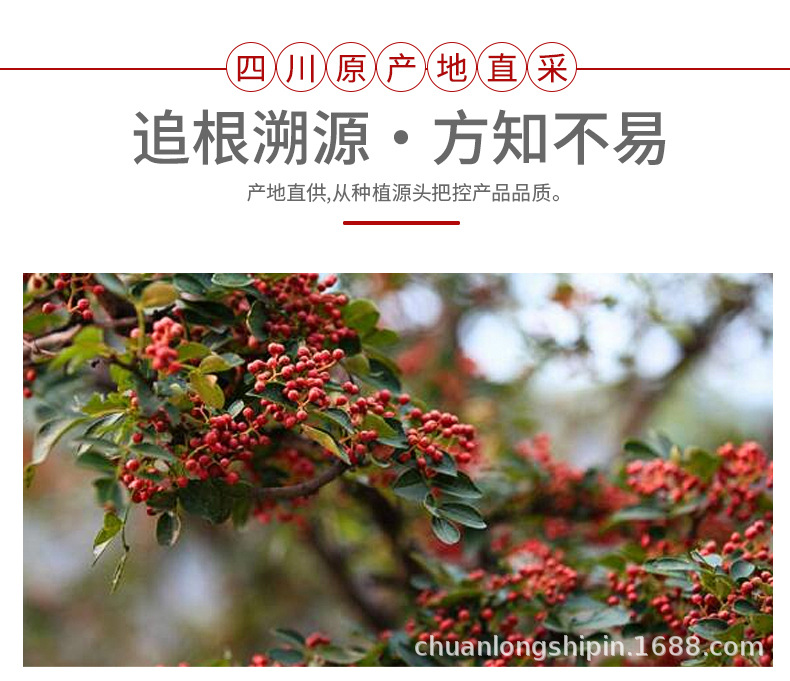 详情_03.jpg