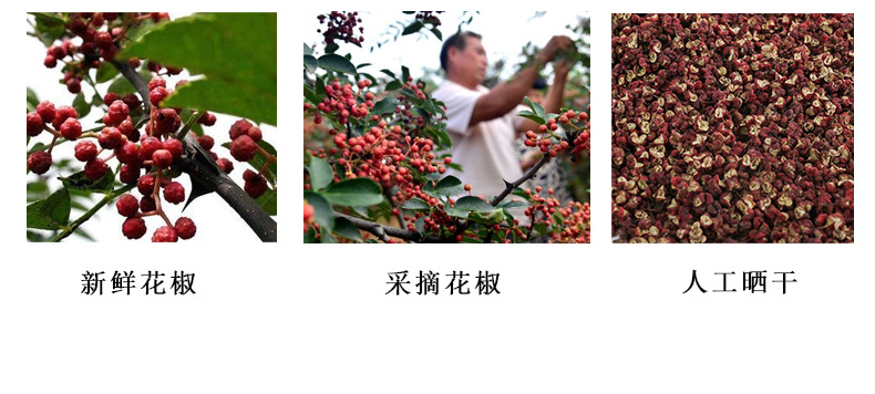 详情_04.jpg