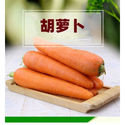 带泥新鲜胡萝卜 山东生吃蔬菜脆甜沙窝水果红萝卜宝宝辅食5斤图4