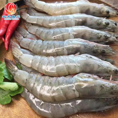 青岛大青虾批发 草虾对虾整箱冷冻水产品批发 商超烧烤冷冻大青虾图3