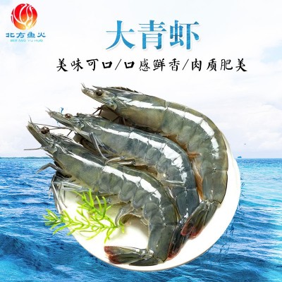 青岛大青虾批发 草虾对虾整箱冷冻水产品批发 商超烧烤冷冻大青虾图5