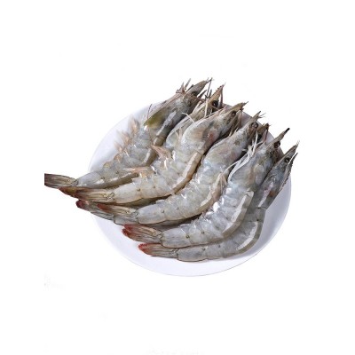 青岛大虾海虾白虾冷冻水产新鲜国产海捕冻虾河虾基围虾