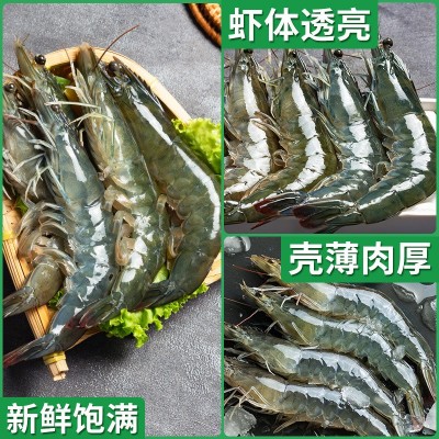 青岛大虾海虾白虾冷冻水产新鲜国产海捕冻虾河虾基围虾图3