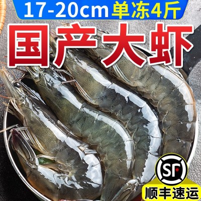 青岛大虾海虾白虾冷冻水产新鲜国产海捕冻虾河虾基围虾图5
