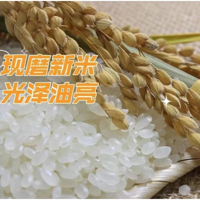 正宗东北珍珠米25kg工厂直供批发采购商用定制包装图4