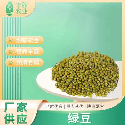 绿豆明绿豆1千克2.5千克多规格批发农家易煮易出沙绿豆汤五谷真空