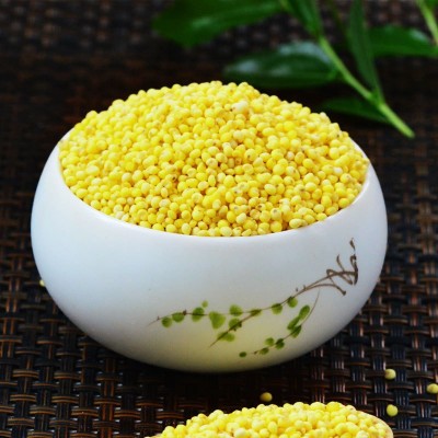 东北农家新鲜黄糯米大黄米黏黄米粘黍子米粽子米杂粮