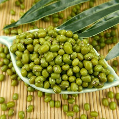 泥河湾有机绿豆 450g新鲜农家绿豆粥绿豆汤原料包装杂粮新鲜豆芽图4