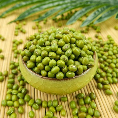泥河湾有机绿豆 450g新鲜农家绿豆粥绿豆汤原料包装杂粮新鲜豆芽图2