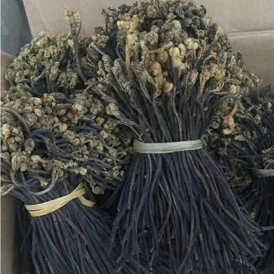 蕨菜干 蕨菜 脱水干菜 干蕨菜厂家批发图3