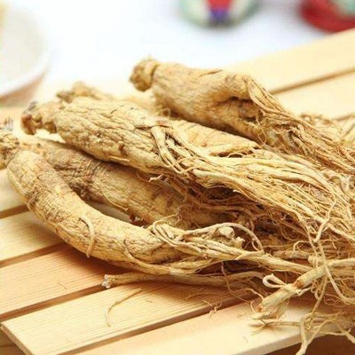 白参 园参 人参 生晒参 人参图4