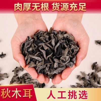 东北特产干货西丰秋木耳批发 500g散装黑山菜无根无筋干木耳