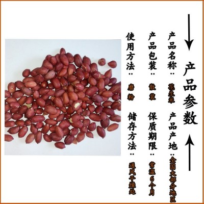 批发熟花生米 低温烘焙 五谷杂粮批发 现磨豆浆原料图2