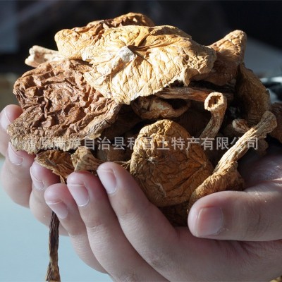【散货滑子菇】东北特产原产地厂家批发肉厚饱满菌菇滑子菇干货图2