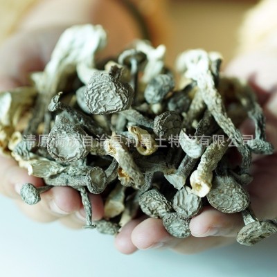 【散货鹿茸菇】食用菌原产地厂家批发脆嫩鲜香菌菇鹿茸菇干货图3