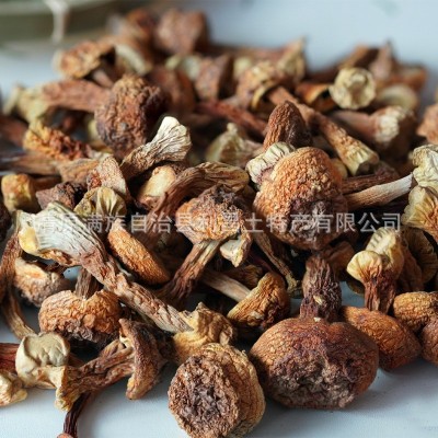 【散货姬松茸】食用菌原产地厂家批发菌香浓郁菌菇姬松茸干货图4