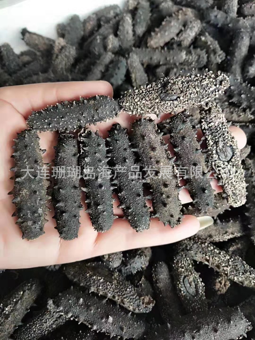 微信图片_20190923105550